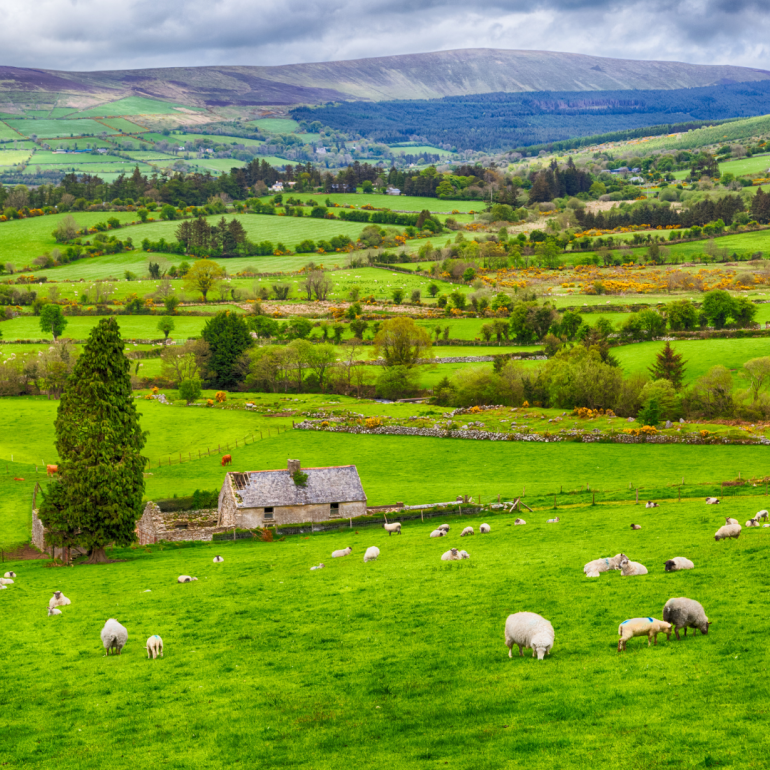 Landscape in Ireland