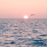 Photo of sun rising
