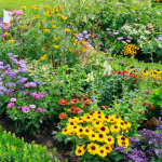 Flower garden with yellow, purple, red and pink flowers
